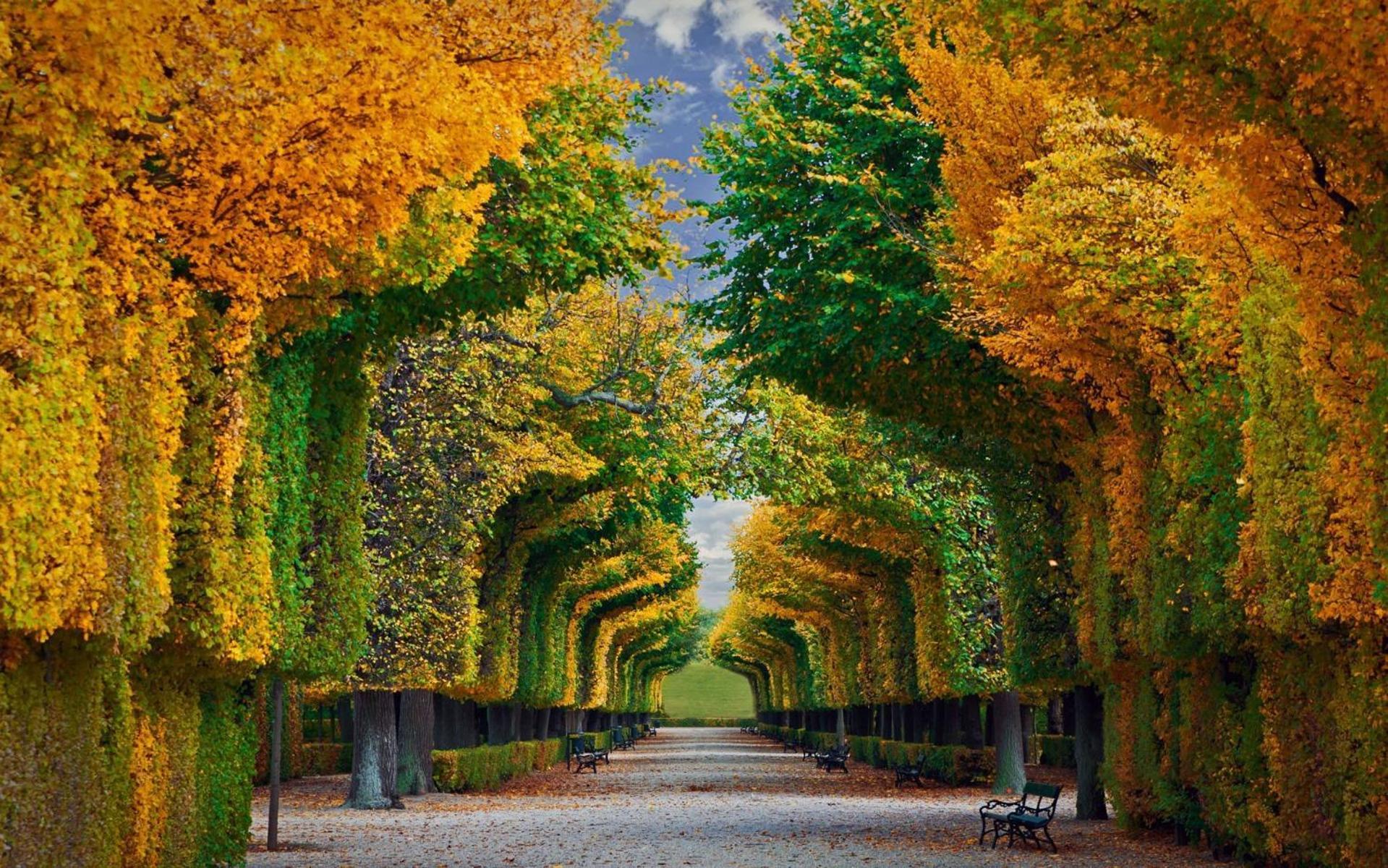 Imperial Schoenbrunn Stays Vienna Luaran gambar